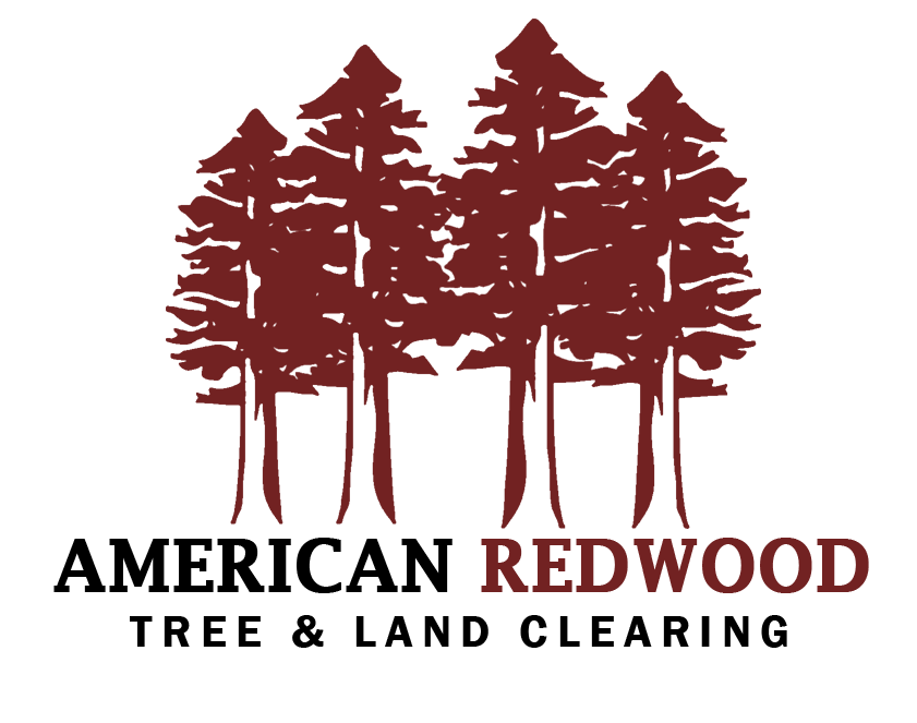 American Redwood