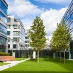 The Importance of Commercial Tree Services