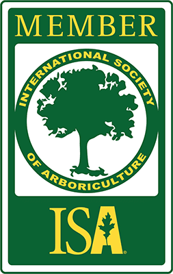isa-member-logo